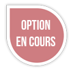 Option en cours